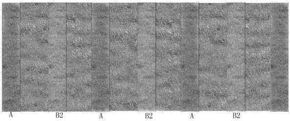 A biological improvement method for saline-alkali land