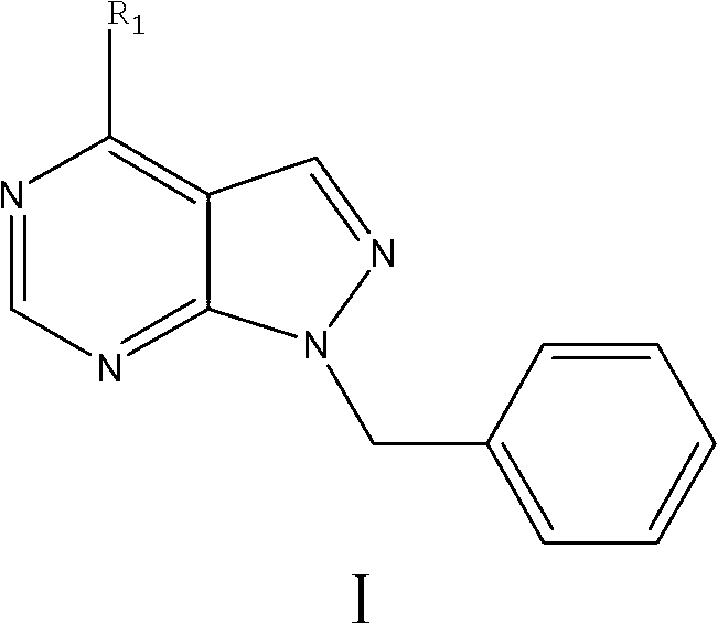 1-N-benzyl allopurinol derivative as well as preparation method and application thereof