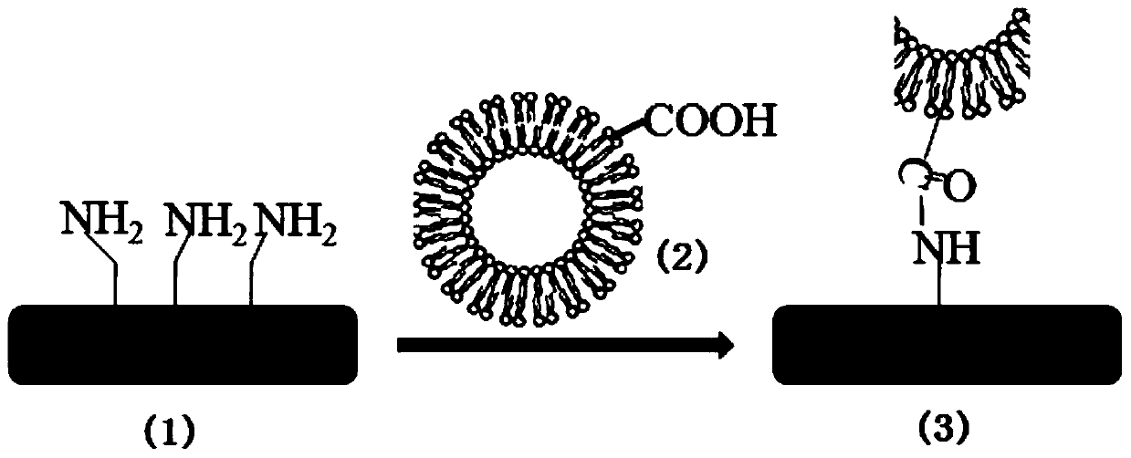 3D printed bioscaffold with drug release function and preparation method thereof