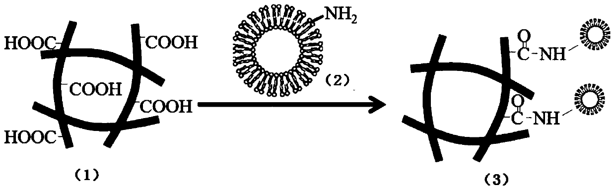 3D printed bioscaffold with drug release function and preparation method thereof