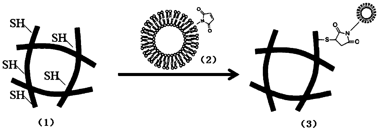 3D printed bioscaffold with drug release function and preparation method thereof