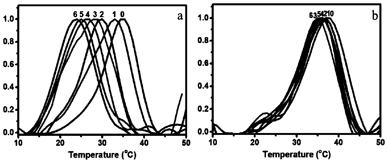 Charge repulsion induced single-chain collagen polypeptide probe and preparation method thereof