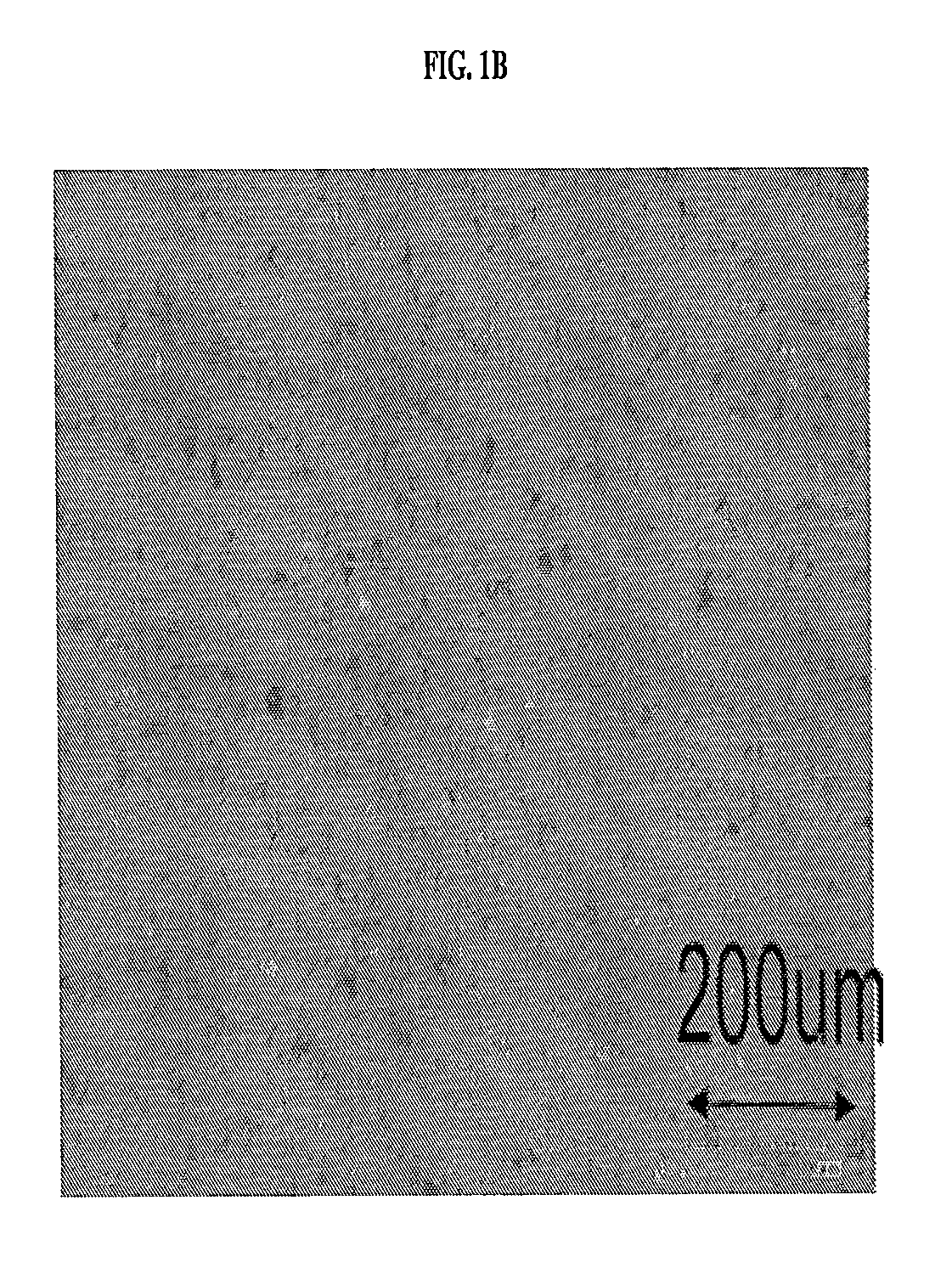 Formulations with active functional additives for 3D printing of preceramic polymers, and methods of 3D-printing the formulations