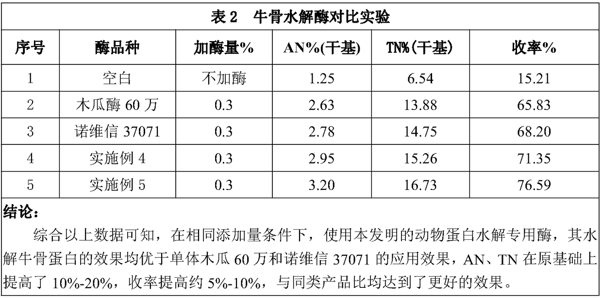 Enzyme special for animal protein hydrolysis and preparation method thereof