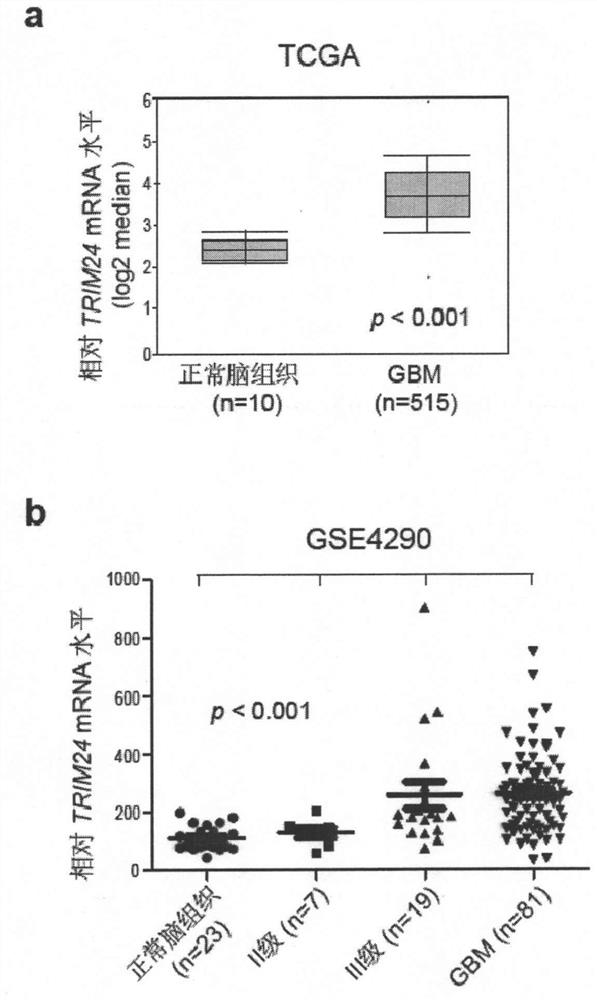 Application of TRIM24 in the diagnosis of glioma