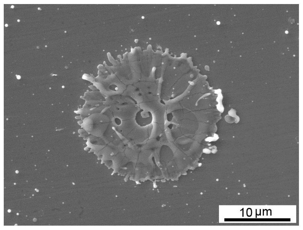 Micropore and microcrack composite toughened millimeter-scale thick ceramic coating and preparation method thereof