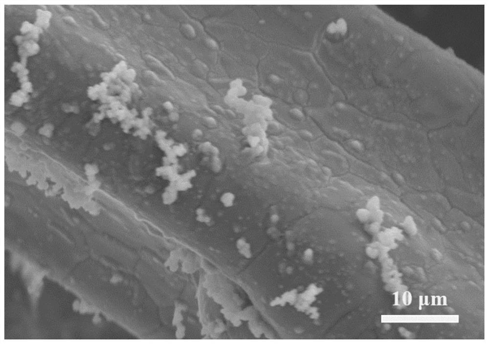 Foam metal electrode with high catalyst utilization rate and for direct alcohol fuel cell and preparation method of foam metal electrode