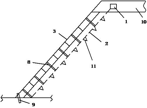 River levee slope reinforcing structure for river ecological restoration and construction method thereof