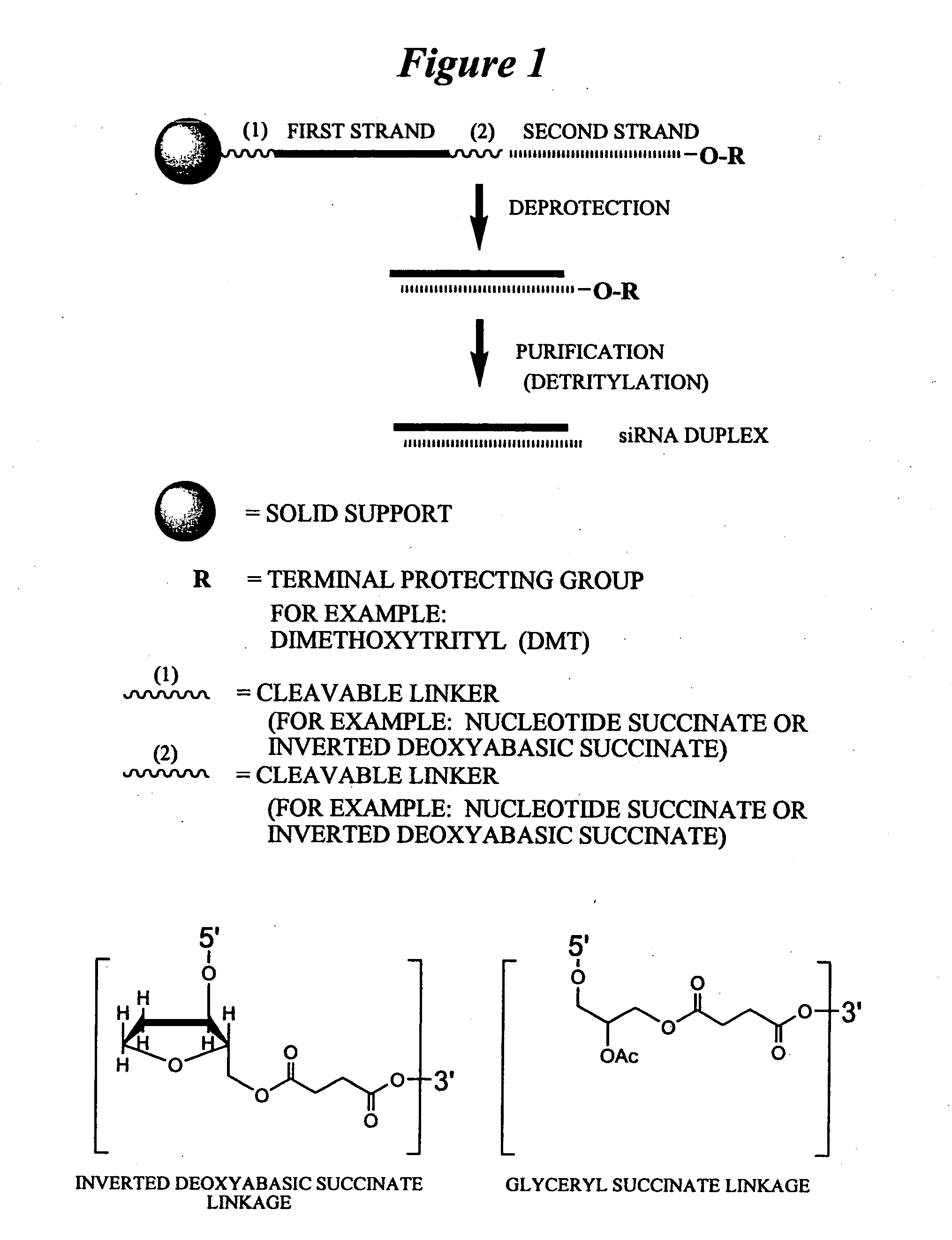 RNA interference mediated inhibition of stearoyl-CoA desaturase (SCD) gene expression using short interfering nucleic acid (siNA)