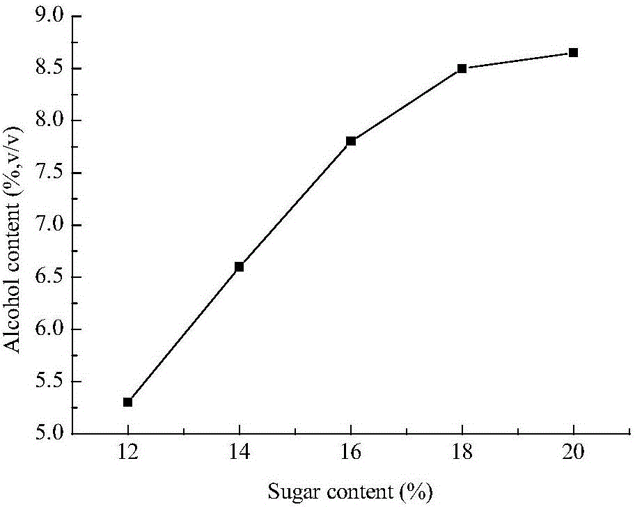 Preparation technology of sugarcane fruit vinegar