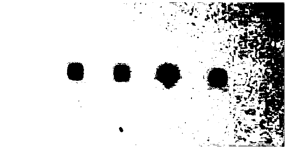 Method to quickly detect alpha-fetoprotein