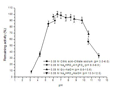 Lipase producing strain tolerant to organic solvent as well as genes and applications of lipase