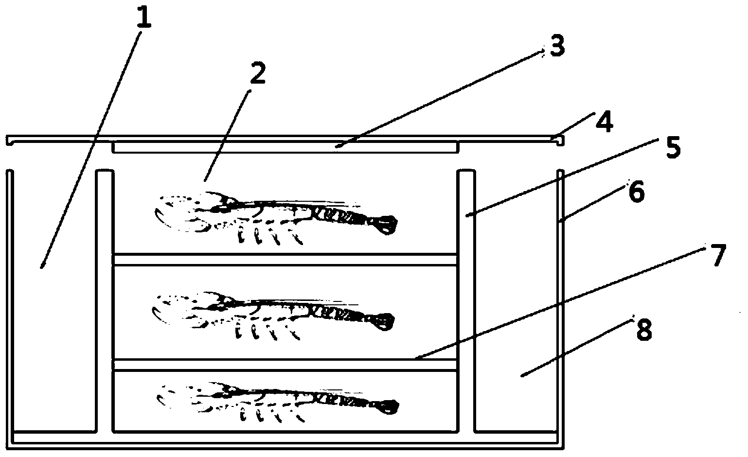 Waterless transportation box for living aquatic products