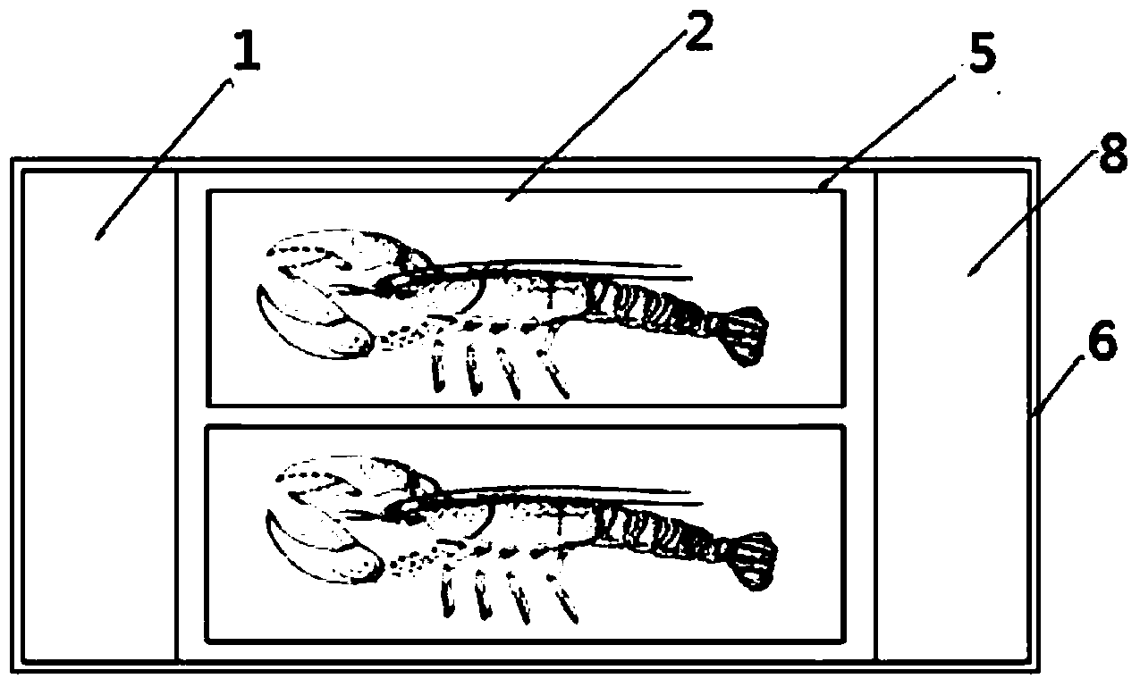 Waterless transportation box for living aquatic products