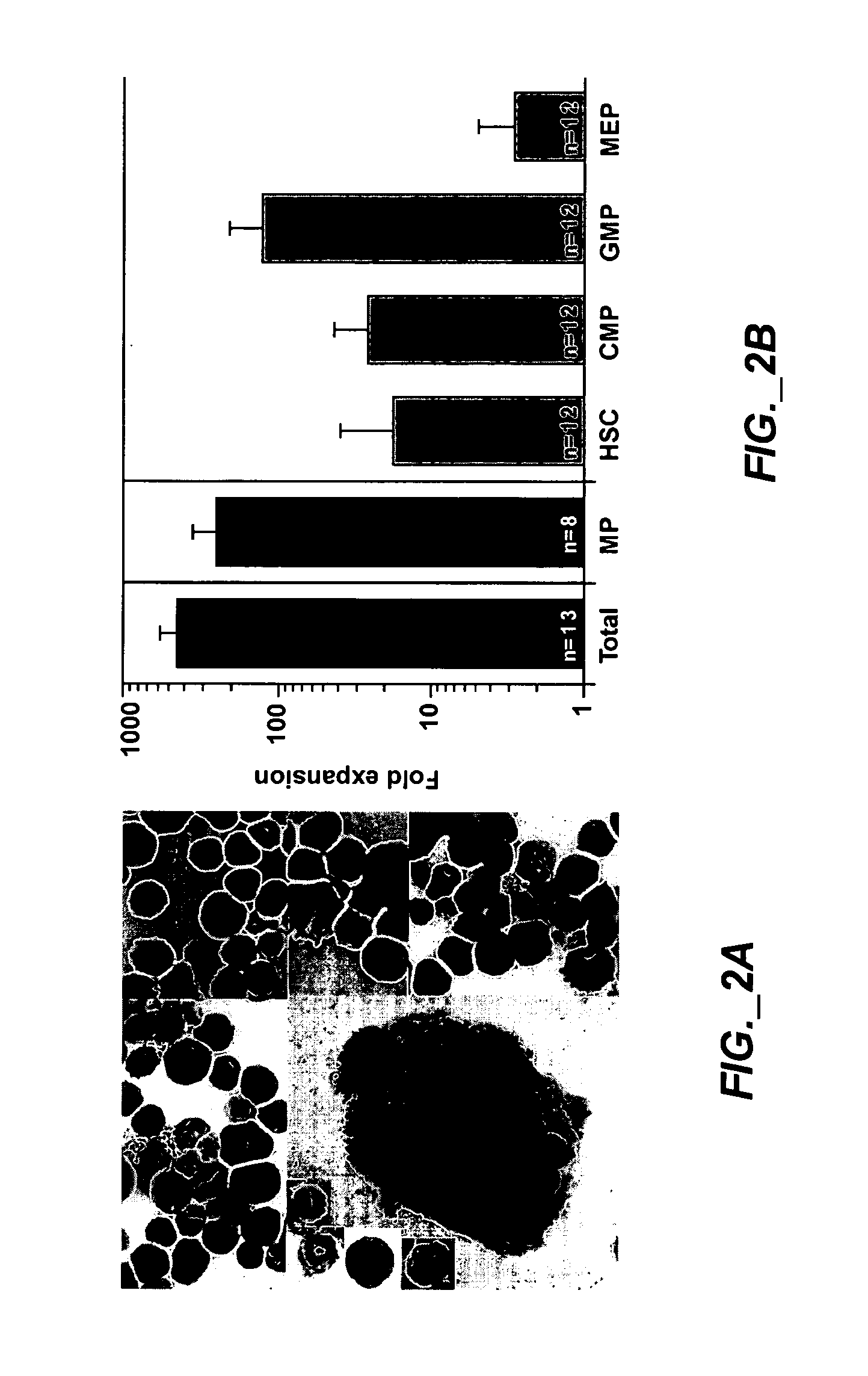 Methods of expanding myeloid cell populations and uses thereof