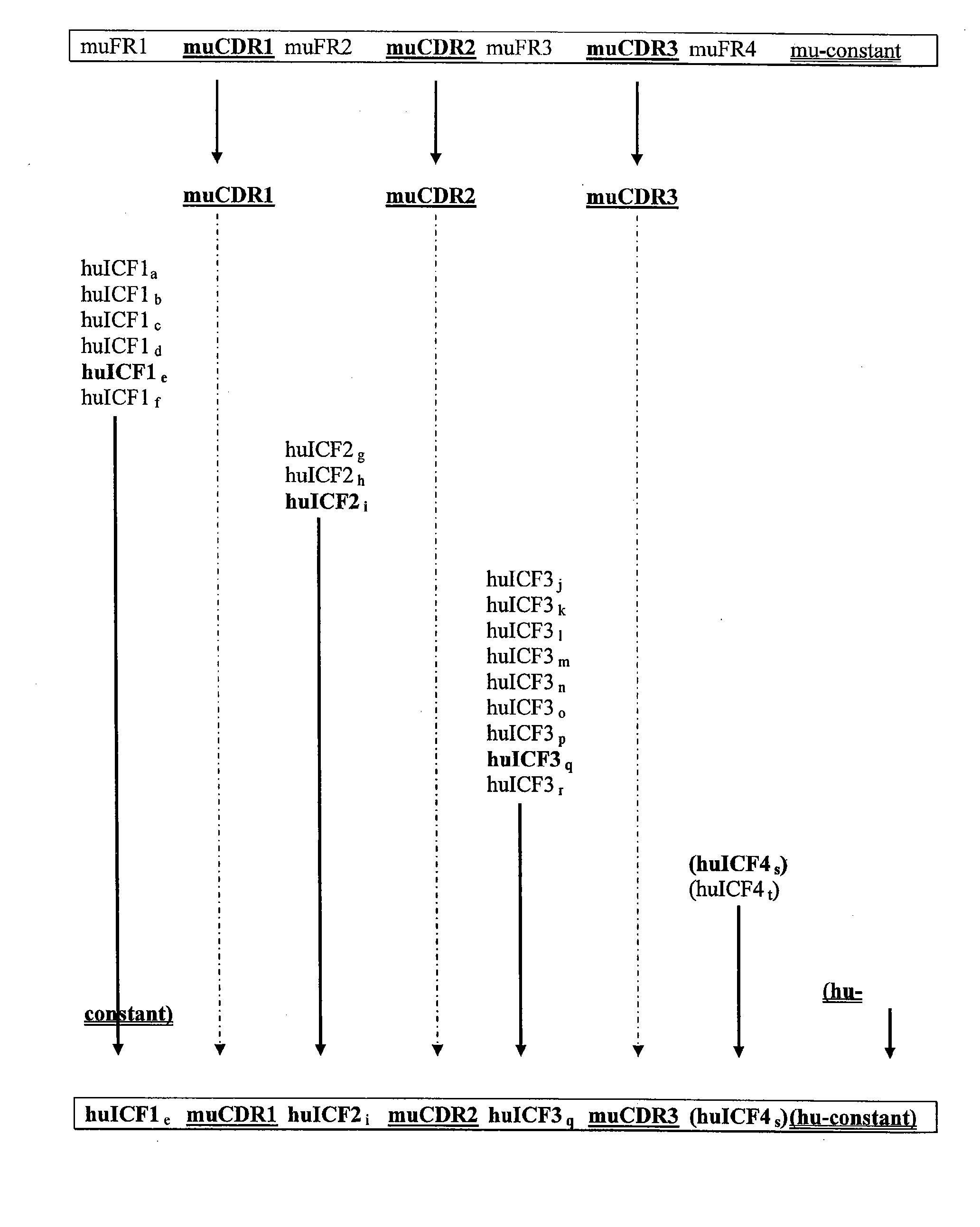 Antibodies and methods for making and using them