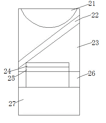 Portable biological chip detection device