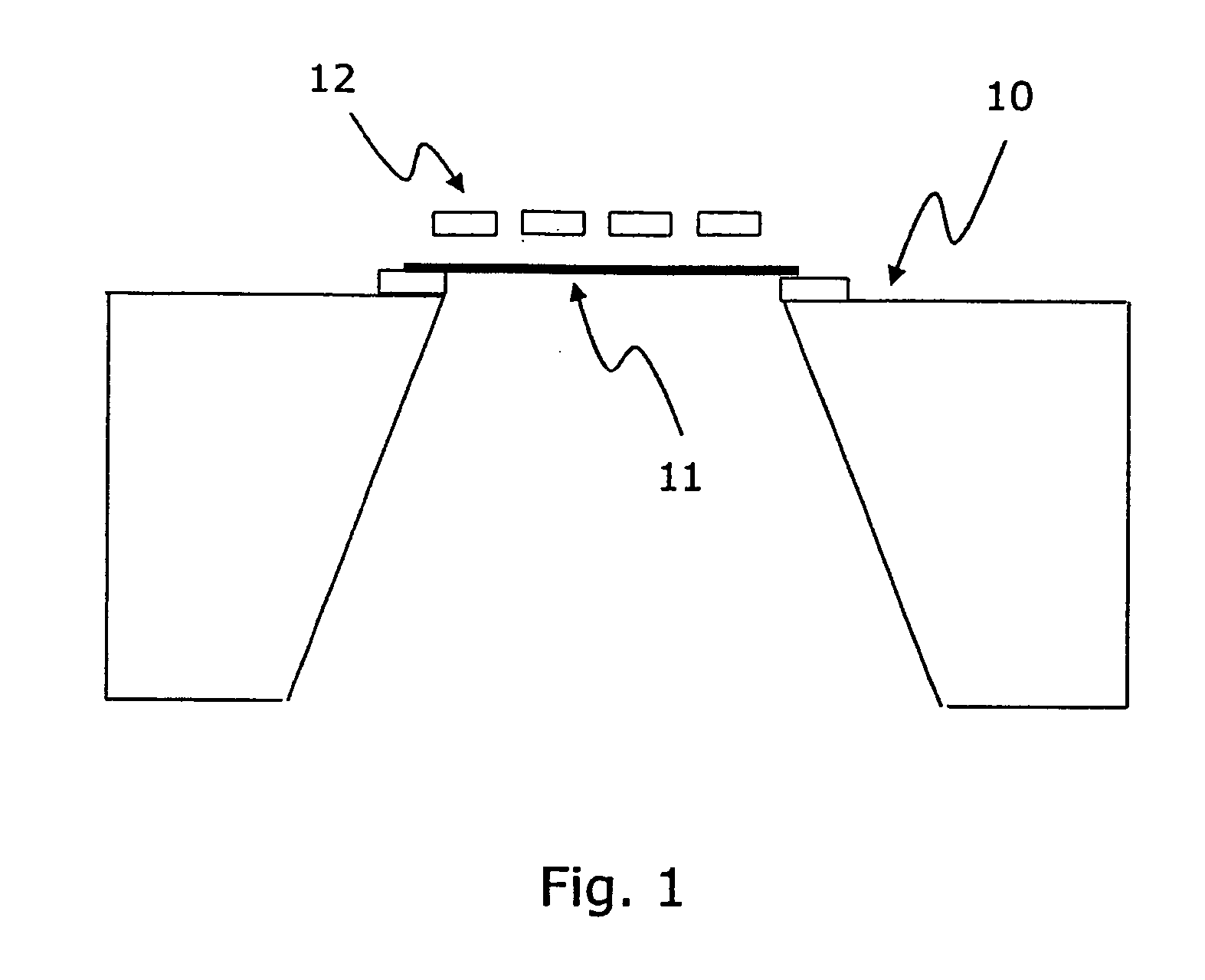 Microphone assembly with P-type preamplifier input stage