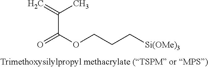 Functionalized vinyl polymer nanoparticles