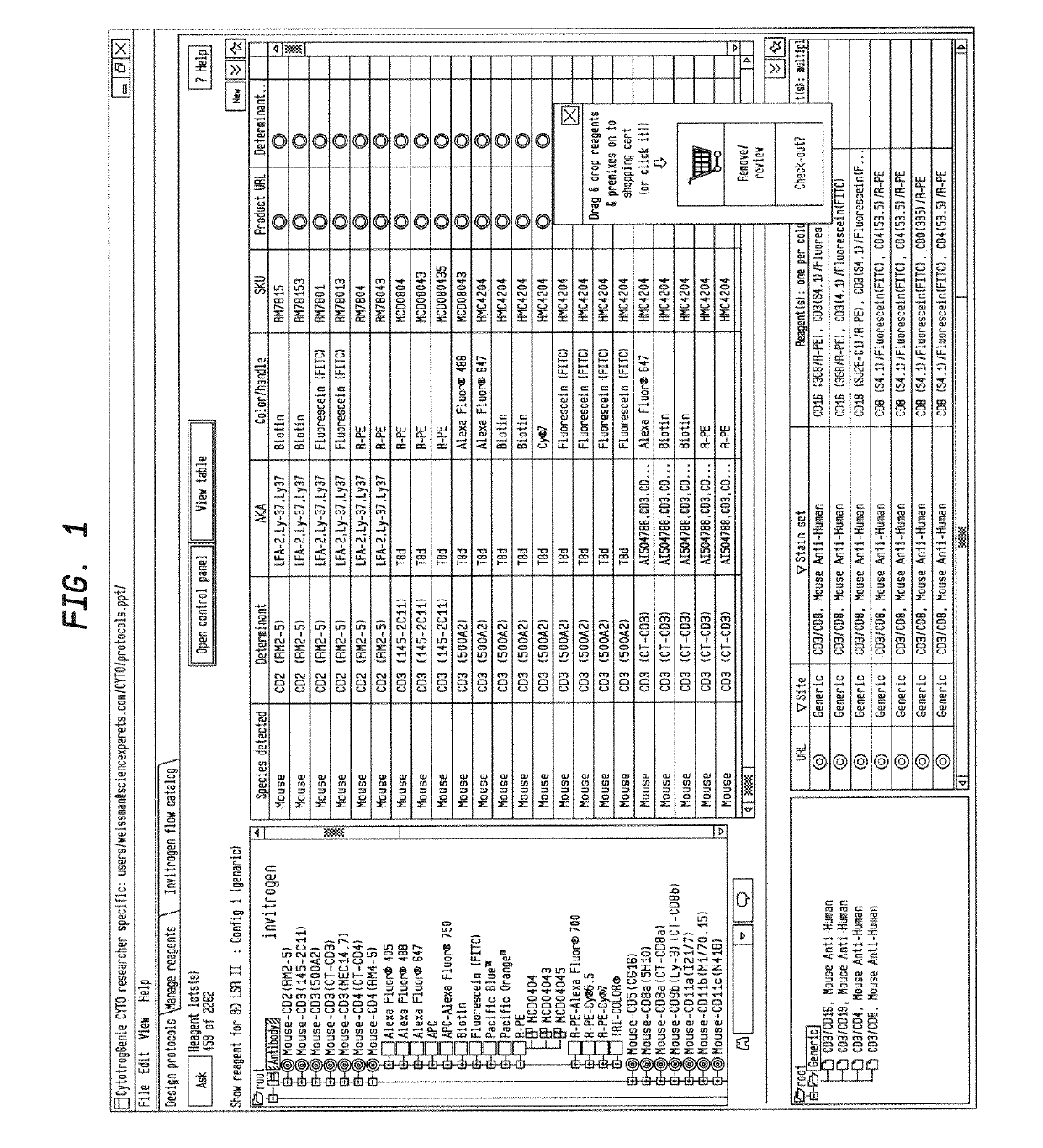 System And Method For Organizing Data In A Dynamic User-Customizable Interface For Search And Display