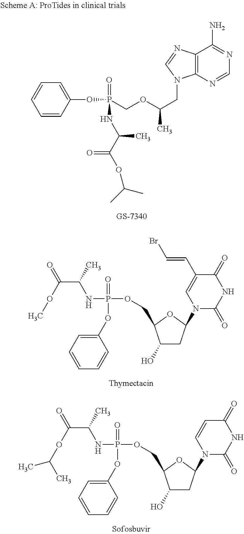 Novel prodrugs of mizoribine