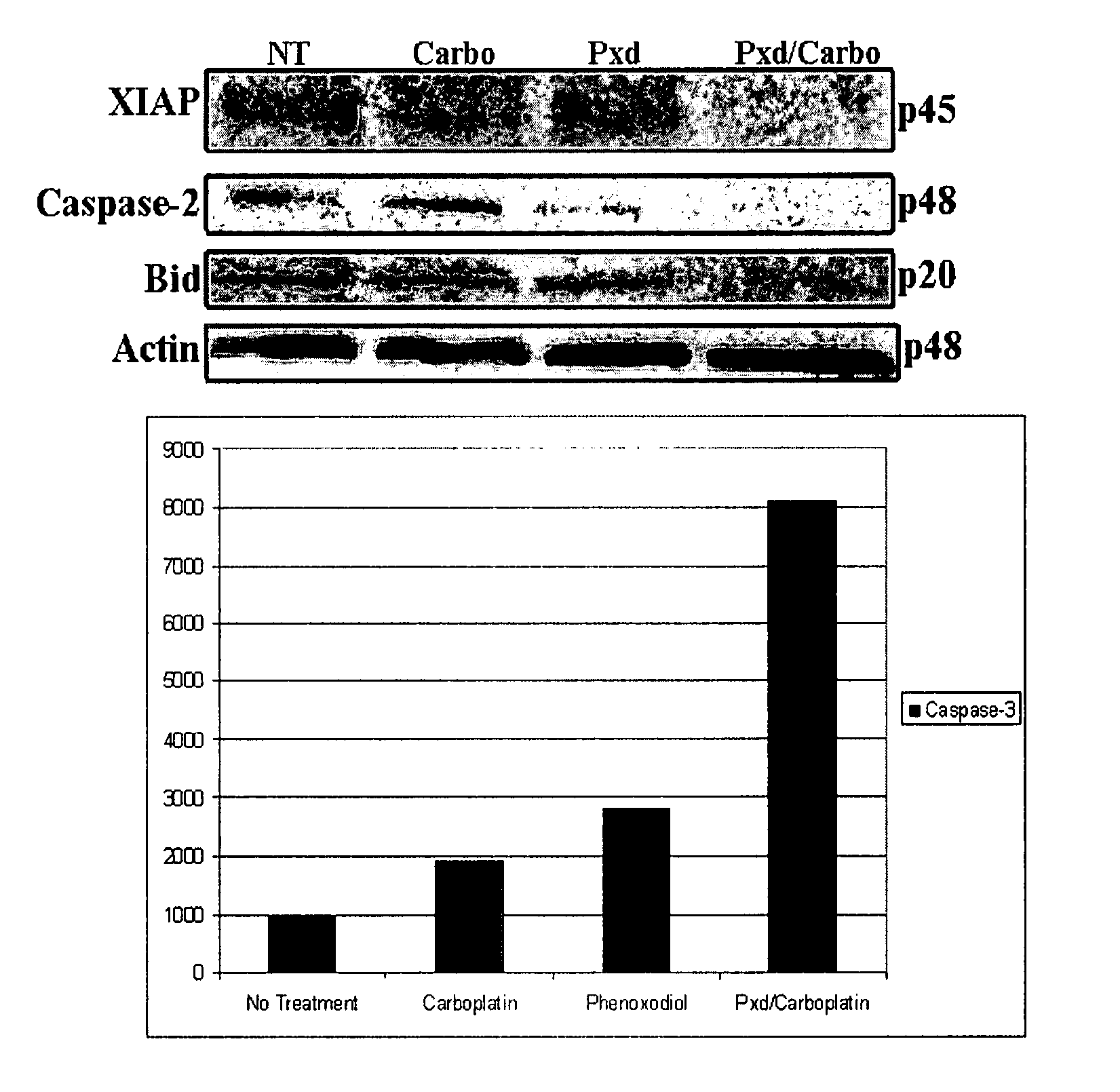 Combination chemotherapy compositions and methods