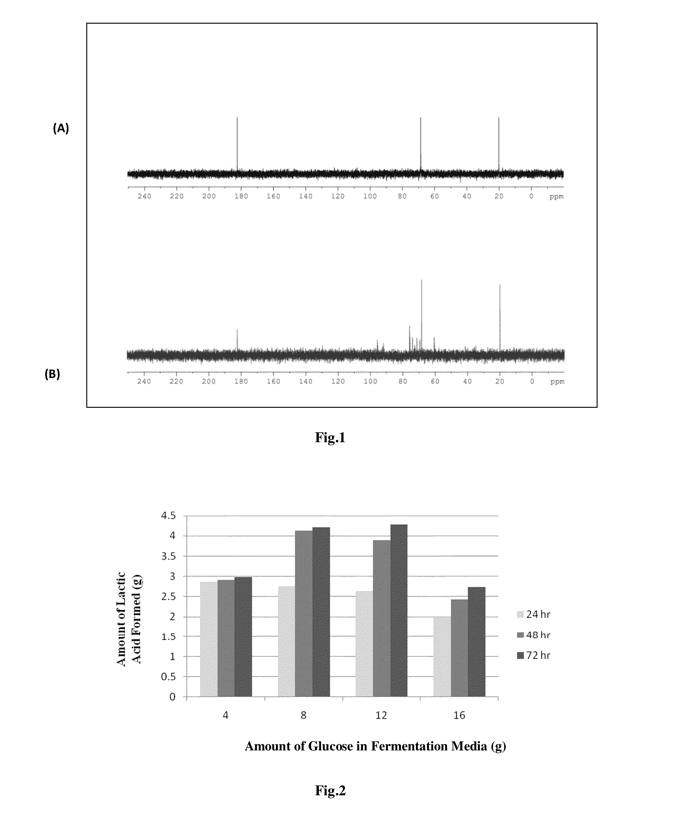 Consolidated bio processing of lignocellulosic biomass for l-lactic acid production