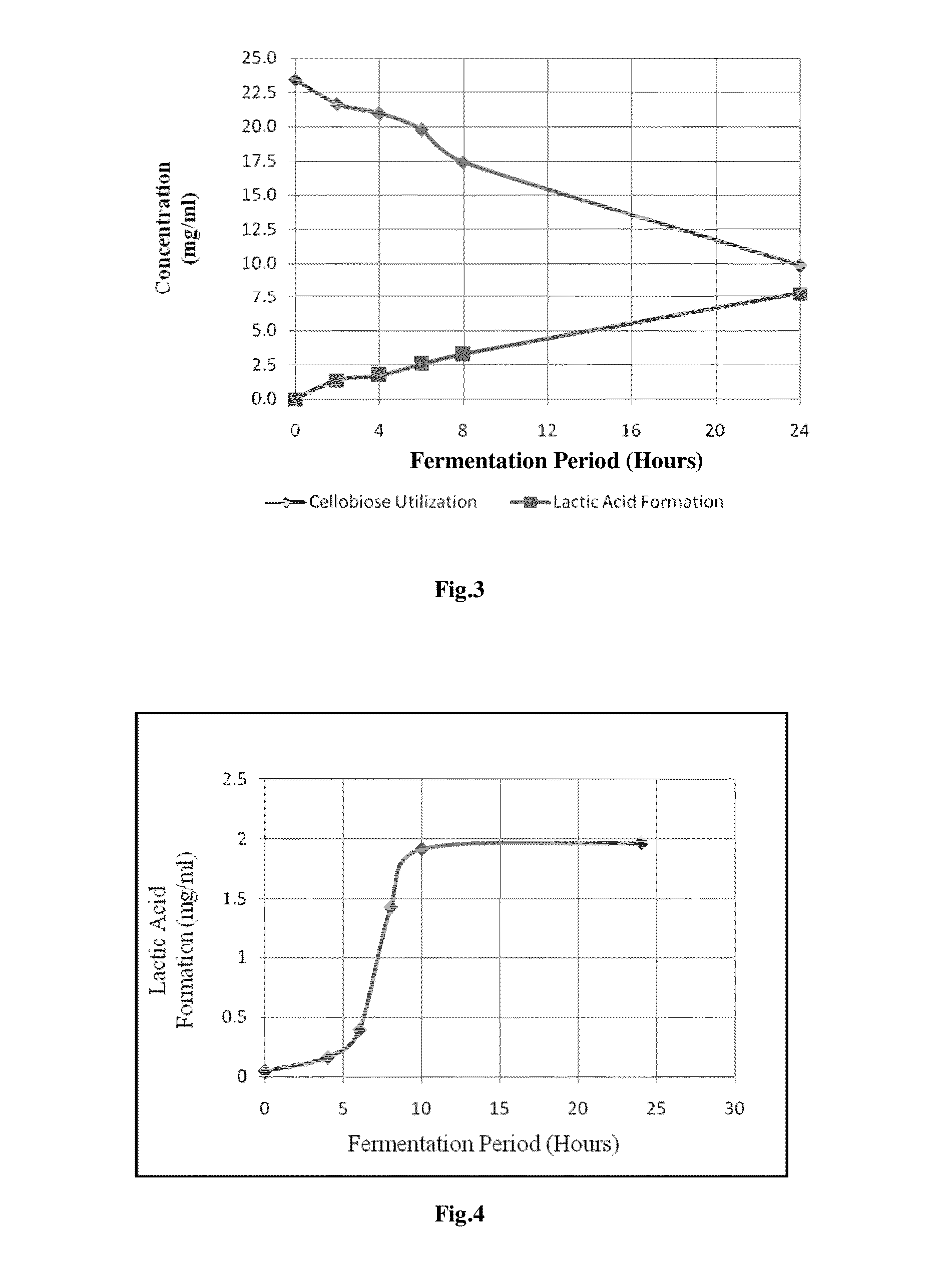 Consolidated bio processing of lignocellulosic biomass for l-lactic acid production