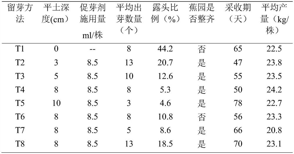 Banana directional low-position secondary bud reserving and fruiting plant selecting method