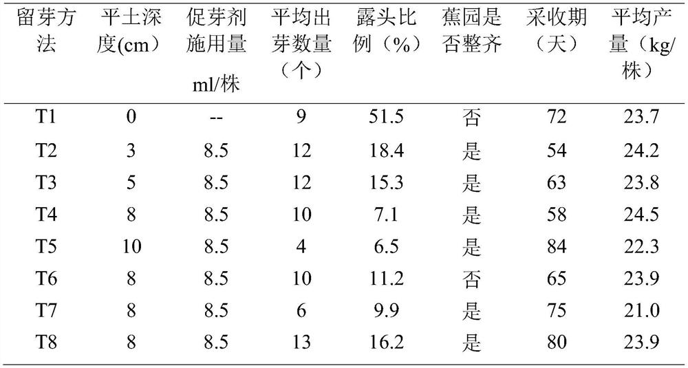 Banana directional low-position secondary bud reserving and fruiting plant selecting method