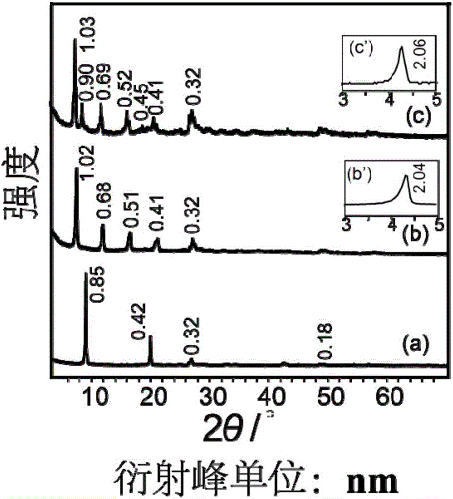 Tetrathiomolybdate radical/1-octane sulfonate radical/LEuH complex and synthesis method thereof