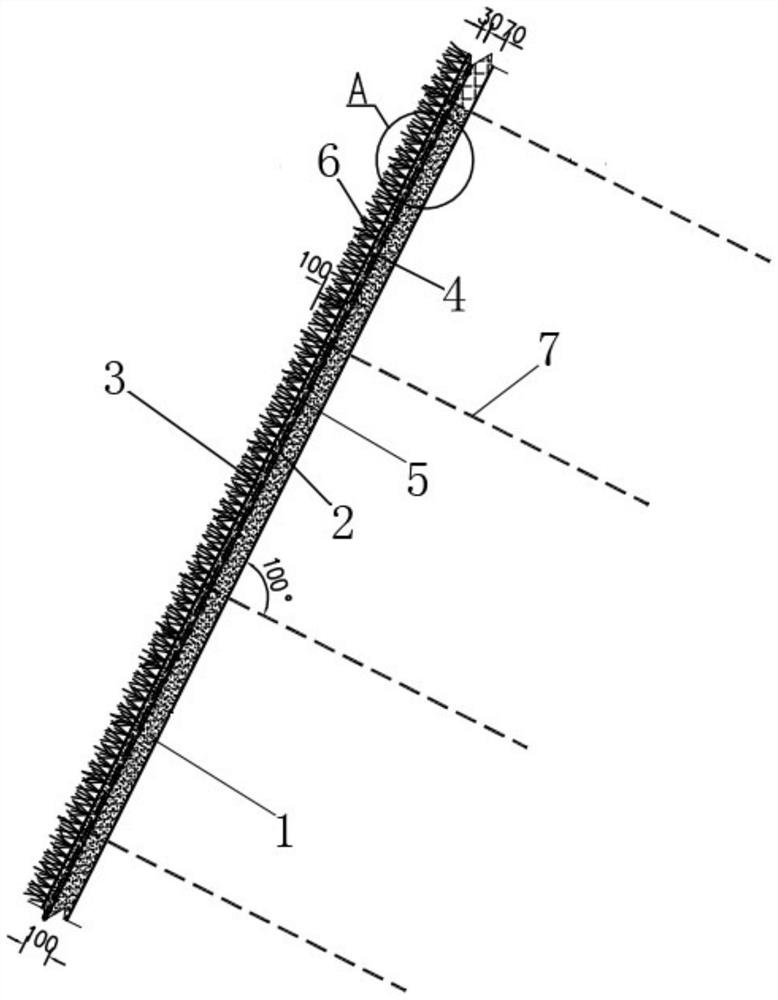 Rock slope vegetation system and vegetation planting construction method