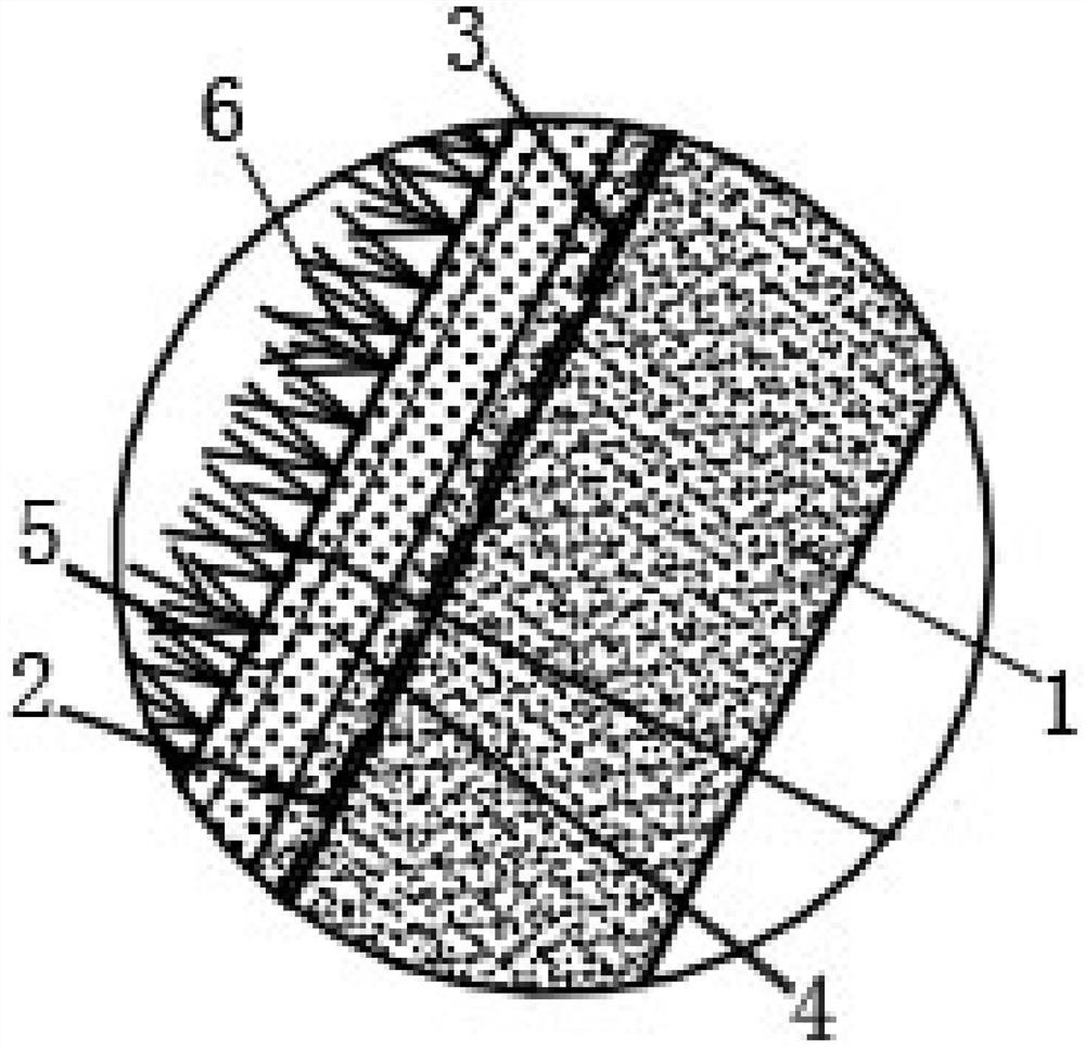 Rock slope vegetation system and vegetation planting construction method