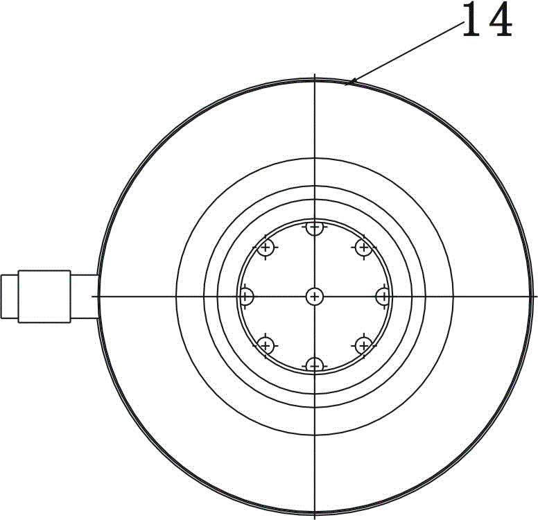 Biomass direct combustion furnace