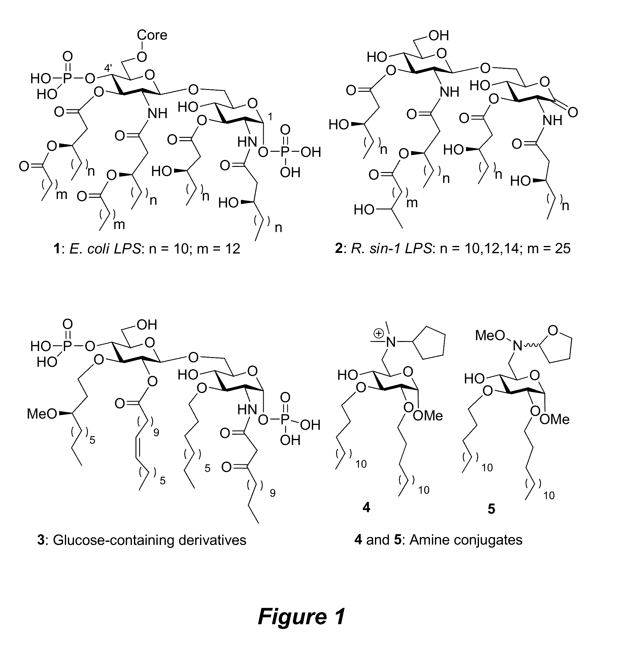 Saccharide conjugates