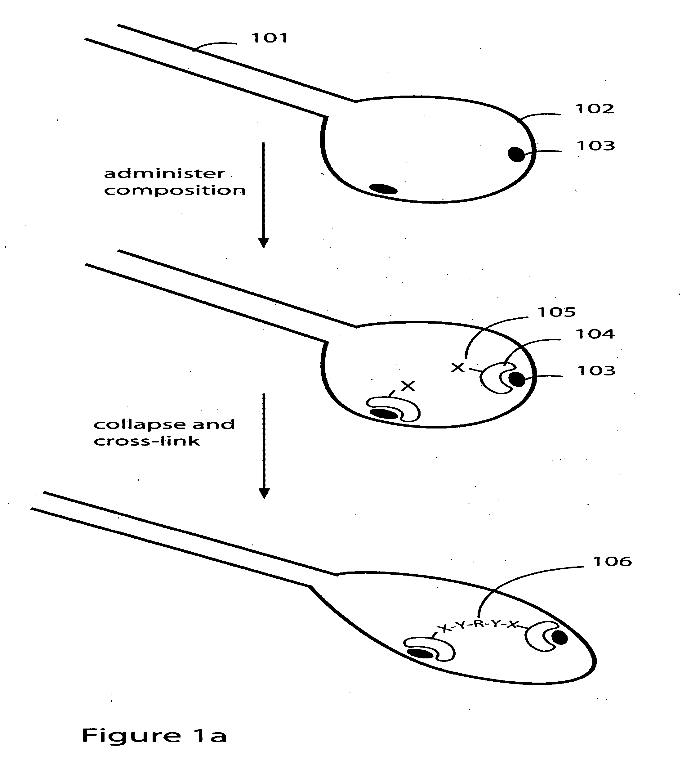 Targeting damaged lung tissue using compositions