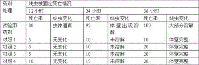 A kind of candida with nematicide activity and its preparation method and application