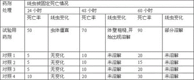 A kind of candida with nematicide activity and its preparation method and application