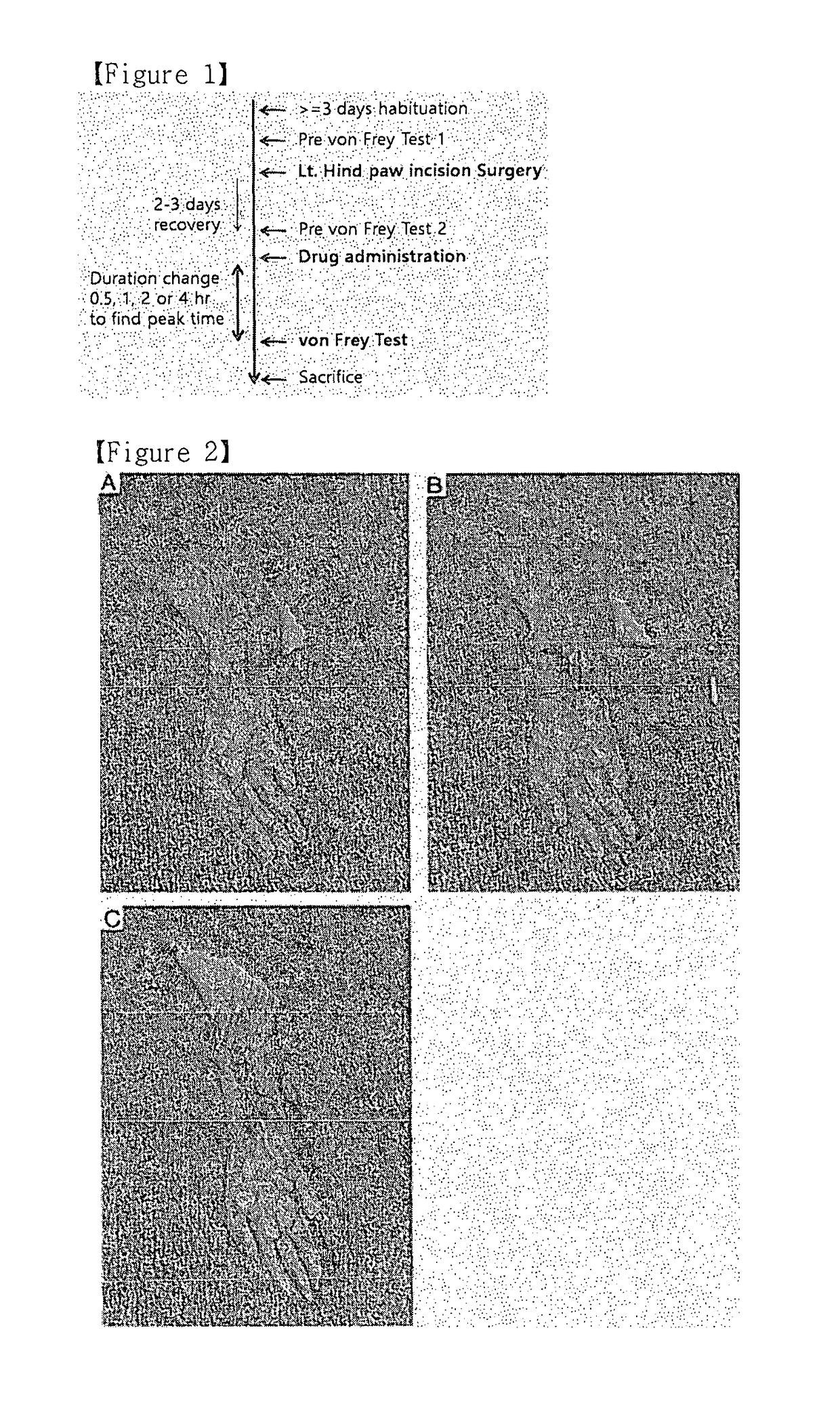 Sulfamate derivative compounds for use in treating or alleviating pain