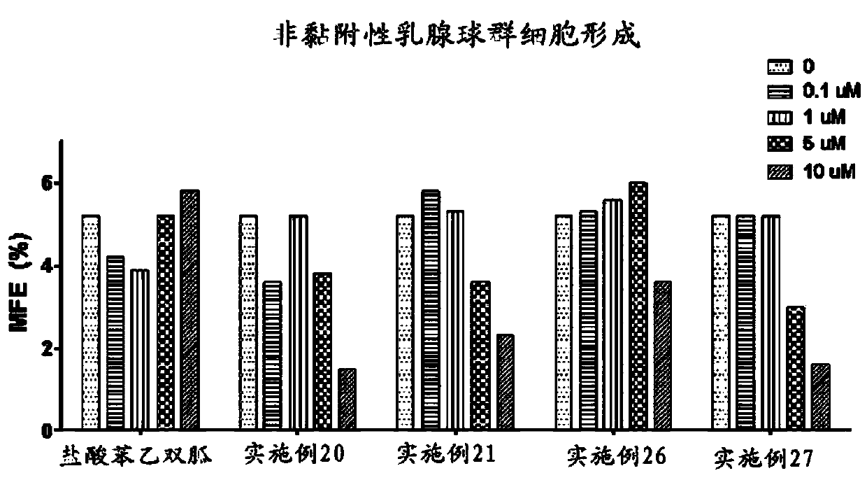 N1-cyclic amine-N5-substituted phenyl biguanide derivatives, methods of preparing the same and pharmaceutical composition comprising the same