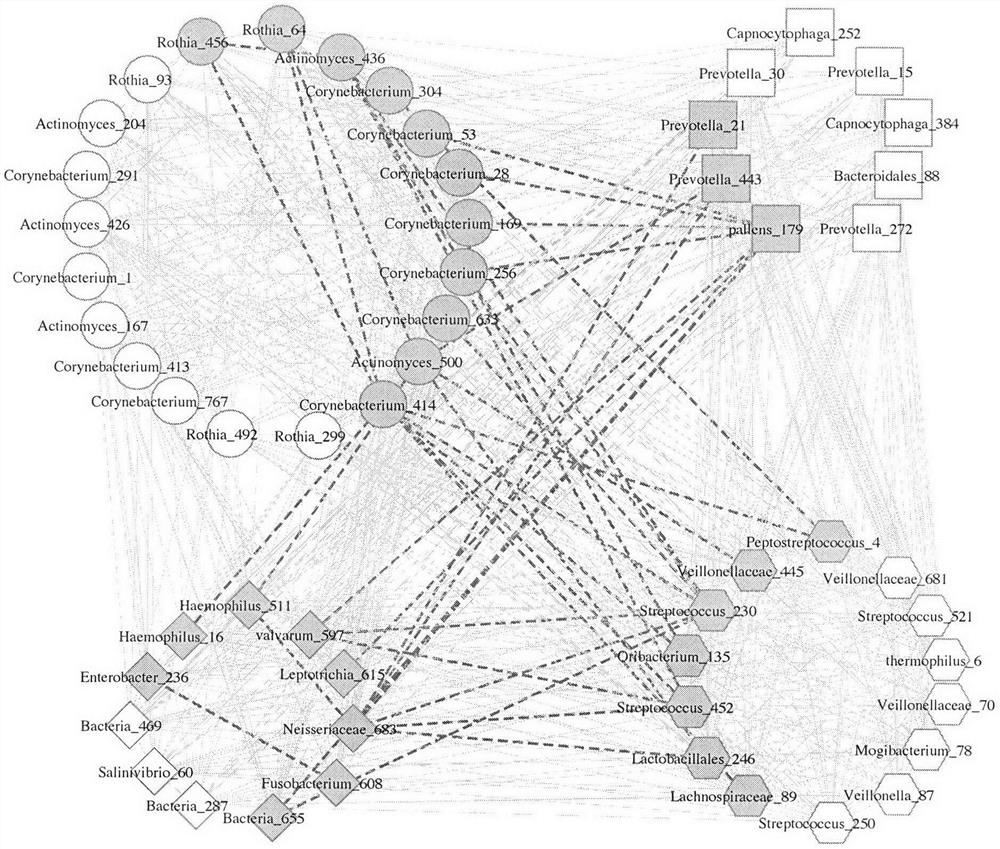 FBA oral flora functional group obtained based on microbial functional group mining method