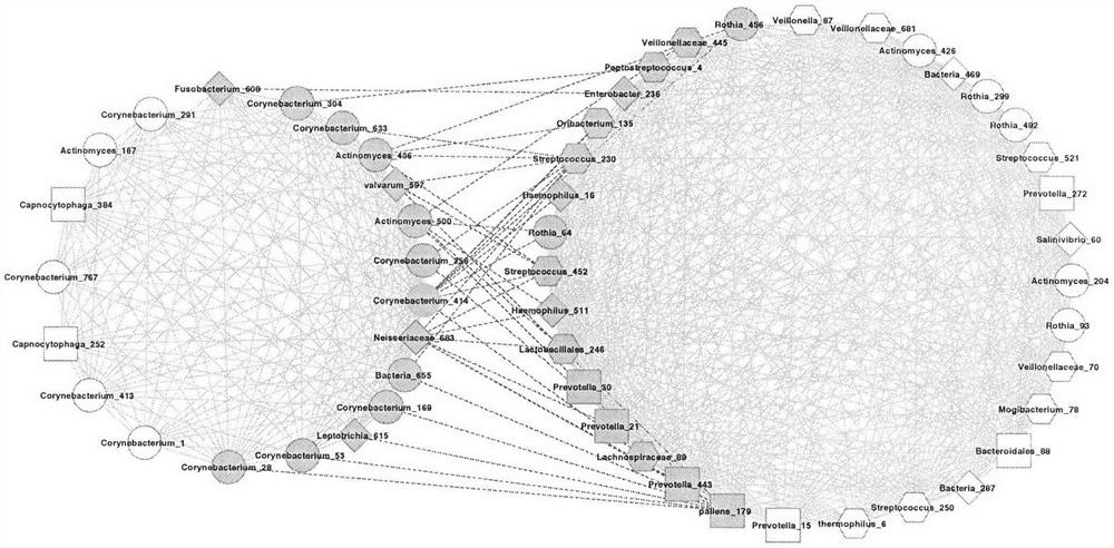 FBA oral flora functional group obtained based on microbial functional group mining method