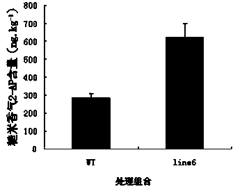 Gene OsPRO related to content of fragrance of fragrant rice and application of encoding protein of gene OsPRO