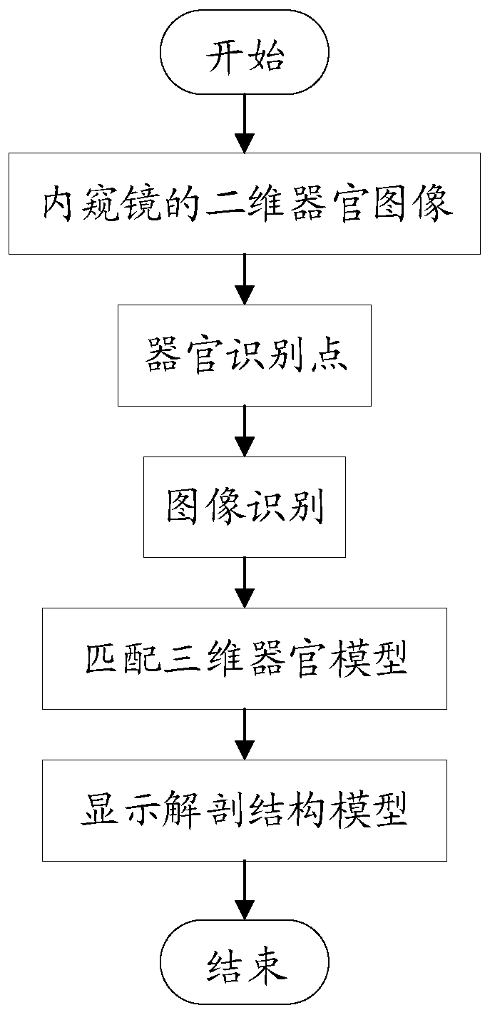 AR and endoscope combined surgical navigation method and terminal