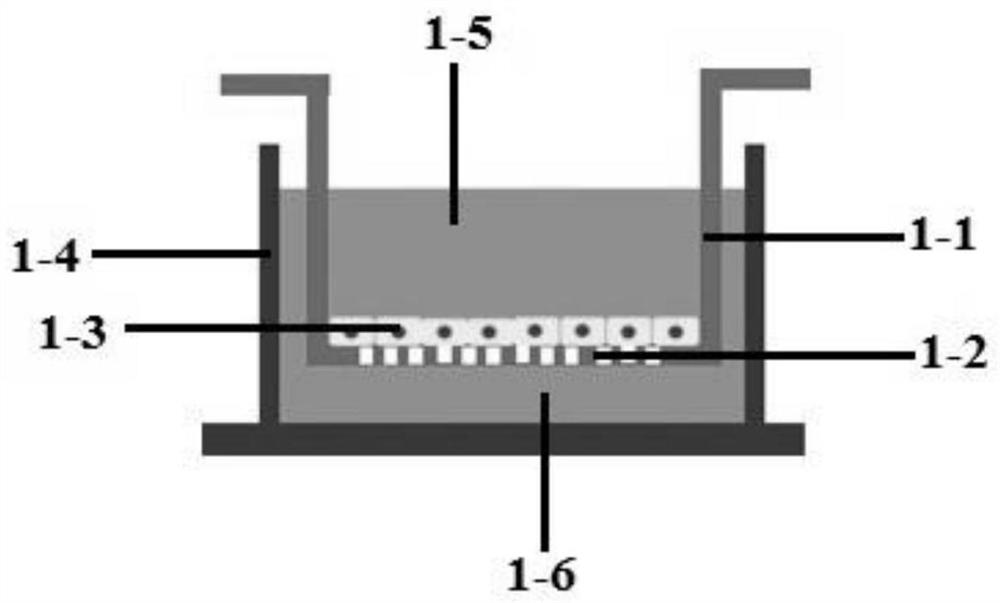 In-vitro model of central nervous system poisoning and method for evaluating curative effect of heavy activator