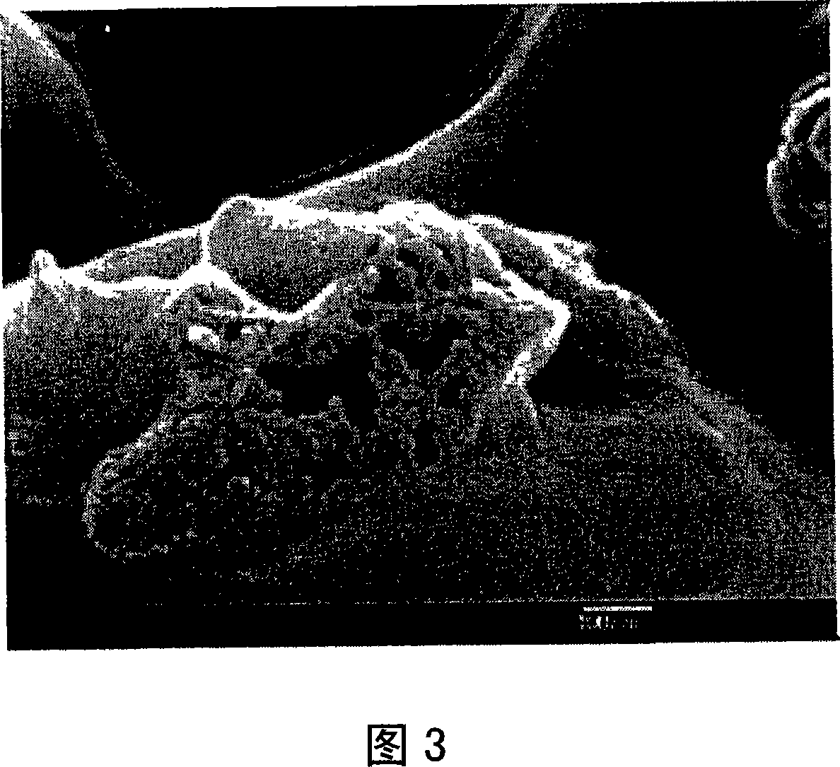 Yttrium oxide composition, a method of forming the yttrium oxide composition and a method of forming a yttrium oxide layer using the same