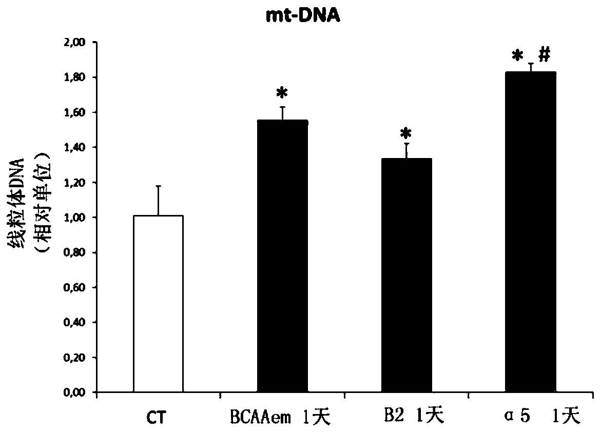 Compositions comprising amino acids for use in treatment of mitochondrial dysfunction-related diseases