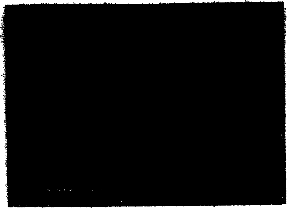 Method for preparing titanium dioxide film under room temperature