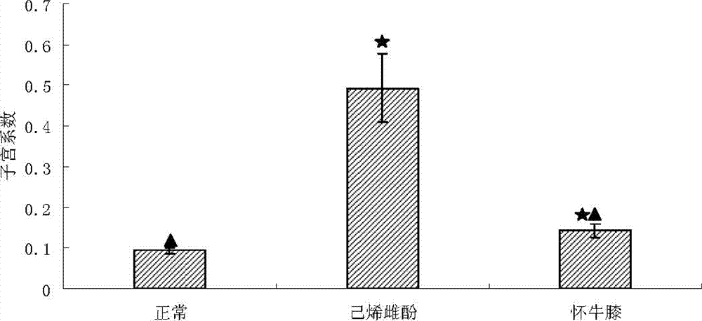 Application of twotooth achyranthes aqueous extract to preparation of estrogen medicines