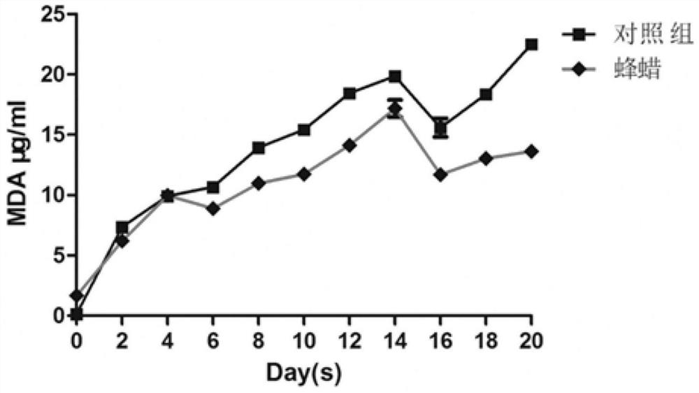 A preparation method of a novel structured emulsion that improves the oxidation stability of fats and oils